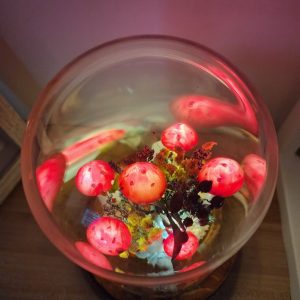 Red Dried Flower Mushroom Lamp