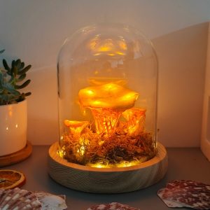 Unique Chanterelle Rustic Mushroom Lamp