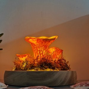 Unique Chanterelle Rustic Mushroom Lamp