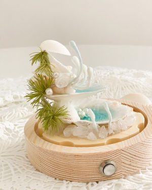 Sea Clam Pearl Night Light Dreamy Shell & Pearl