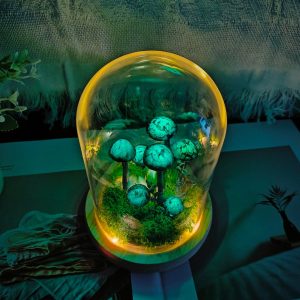 Whimsical Forest Mushroom Night Light