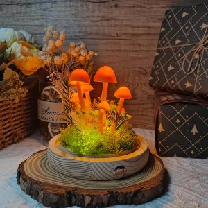 Orange Dried Flower Mushroom Lamp